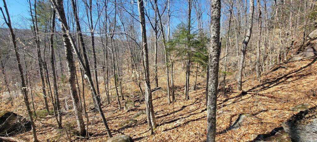 Lot 21 River Road Avon, ME 04966 - Photo 5 of 23 20260409_105235