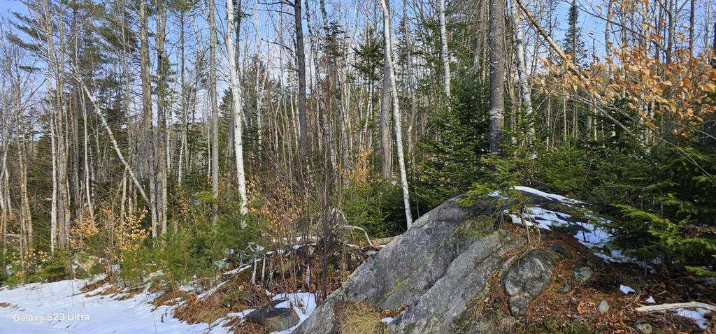 Lot 21 River Road Avon, ME 04966 - Photo 6 of 14 20260326_101534