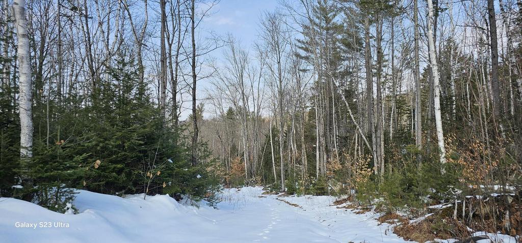 Lot 21 River Road Avon, ME 04966 - Photo 7 of 14 20260326_101539