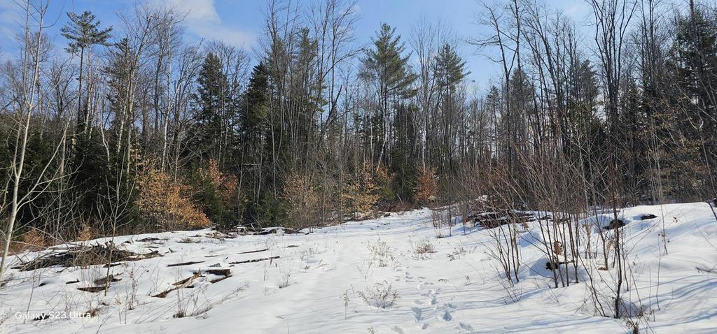 Lot 21 River Road Avon, ME 04966 - Photo 8 of 14 20260326_101807