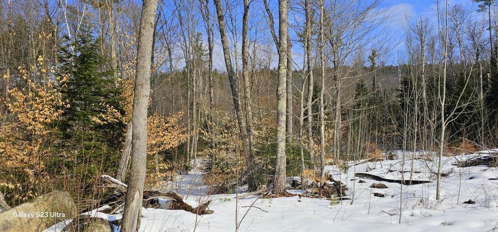 Lot 21 River Road Avon, ME 04966 - Photo 9 of 14 20260326_101812