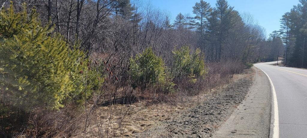Lot 21 River Road Avon, ME 04966 - Photo 10 of 23 20260409_095446