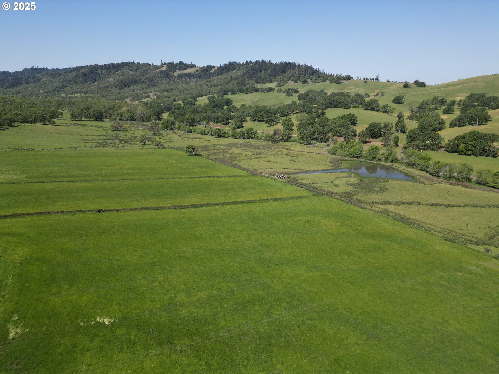 1104 Rio Nes Lane Roseburg, OR 97470 - Photo 11 of 47
