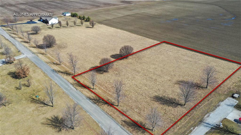 0 Springman Lane Brighton, IL 62012 - Photo 4 of 8