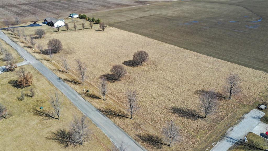 0 Springman Lane Brighton, IL 62012 - Photo 6 of 8