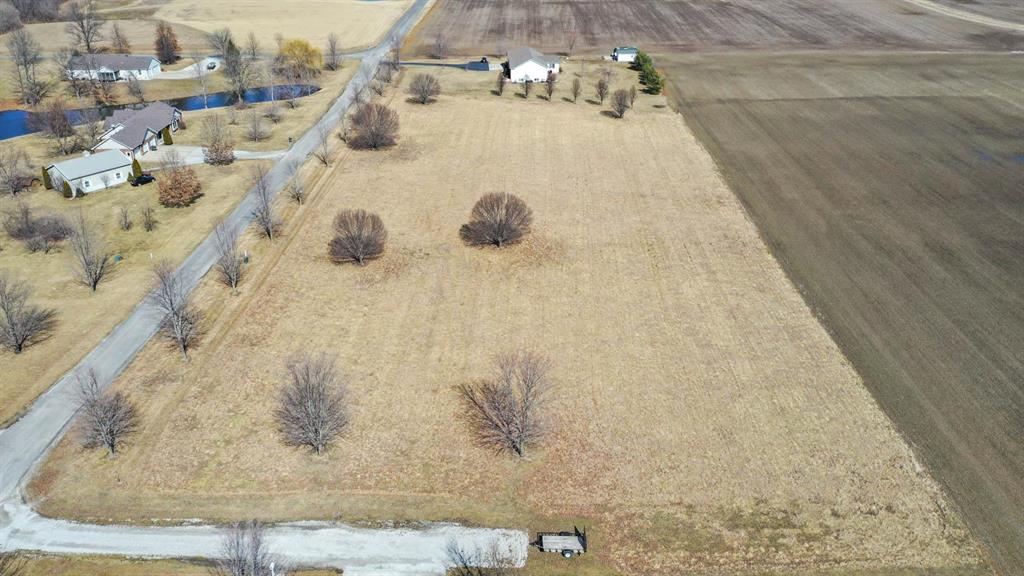 0 Springman Lane Brighton, IL 62012 - Photo 7 of 8