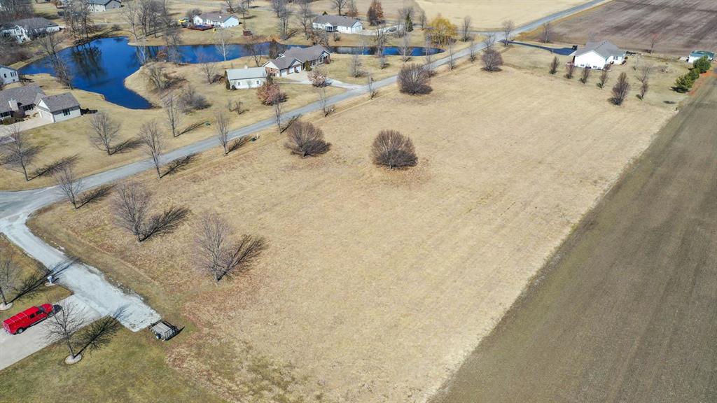 0 Springman Lane Brighton, IL 62012 - Photo 8 of 8