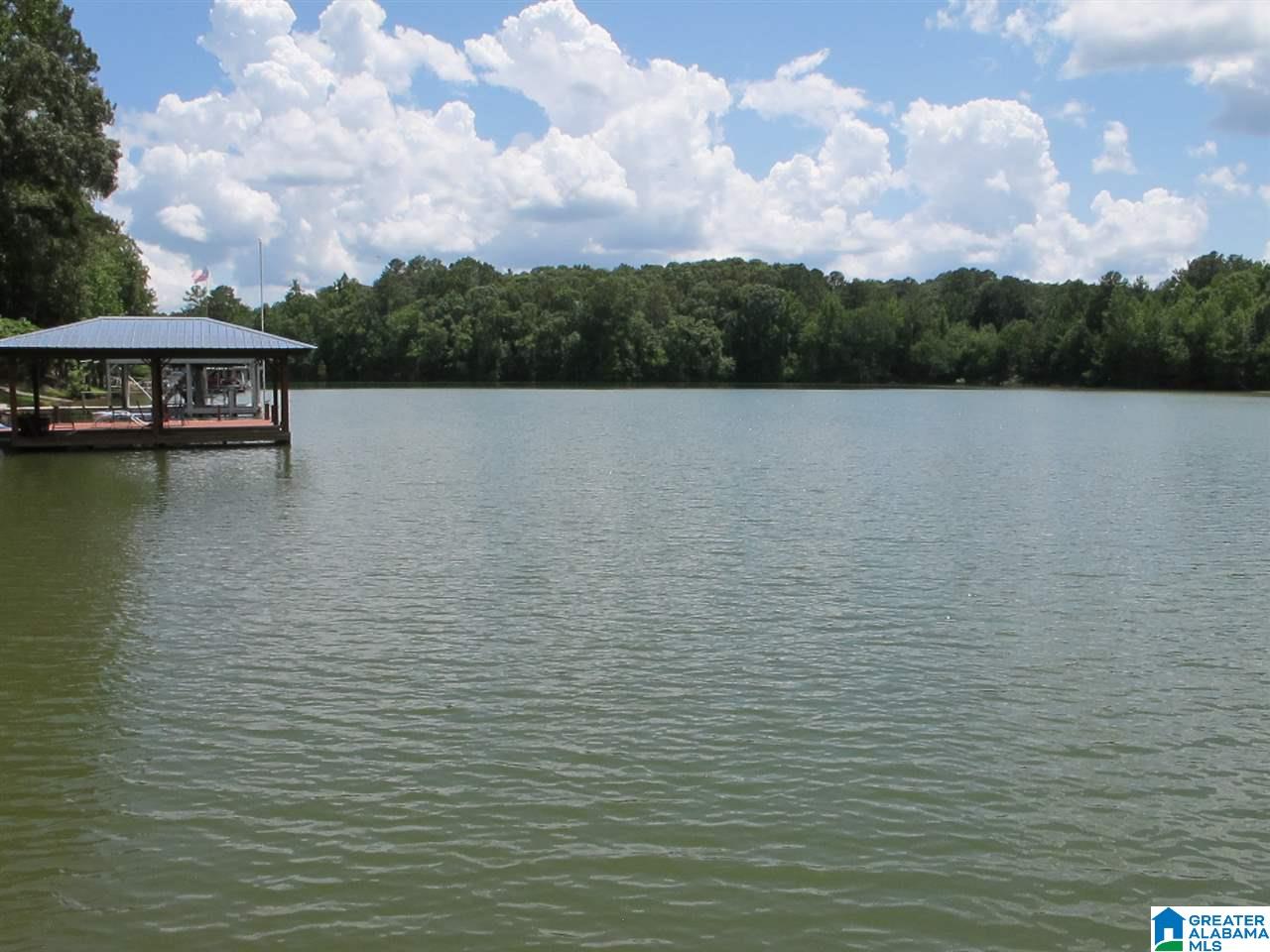 354 South Forty Road Lineville, AL 36266 - Photo 23 of 30
