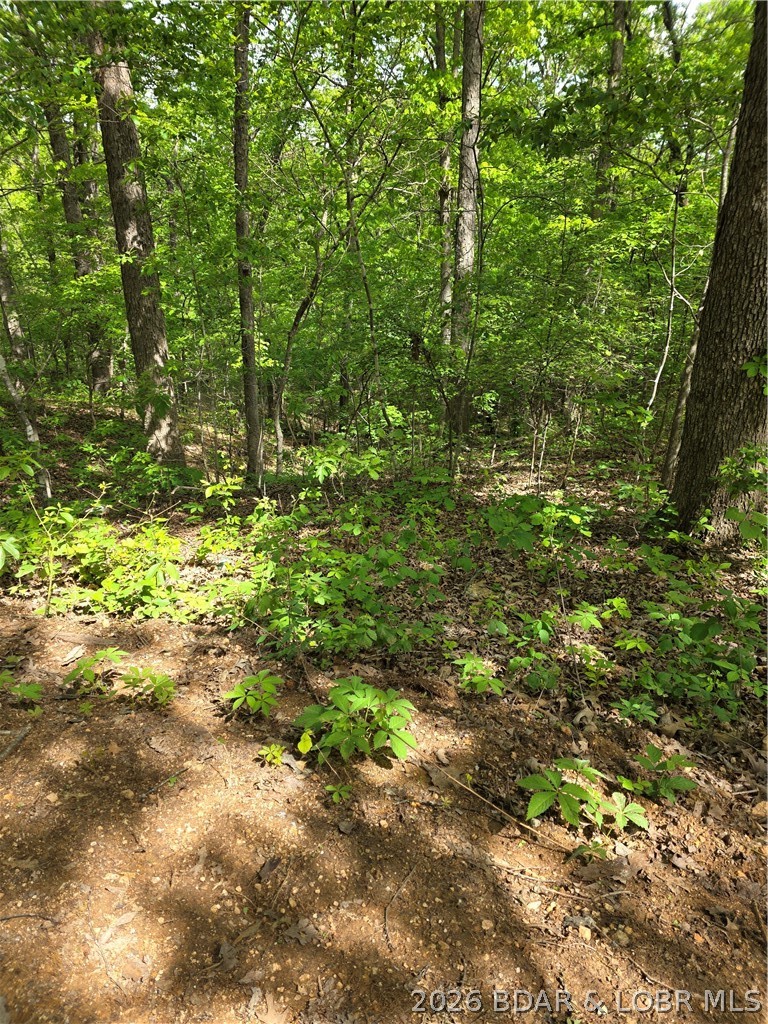 Circle Road Stover, MO 65078 - Photo 4 of 5