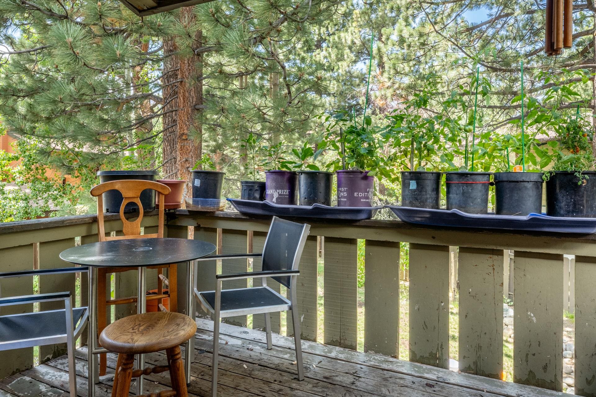 3251 Chateau Road, Unit 38 Mammoth Lakes, CA 93546 - Photo 14 of 50 a backyard of a house with table and chairs