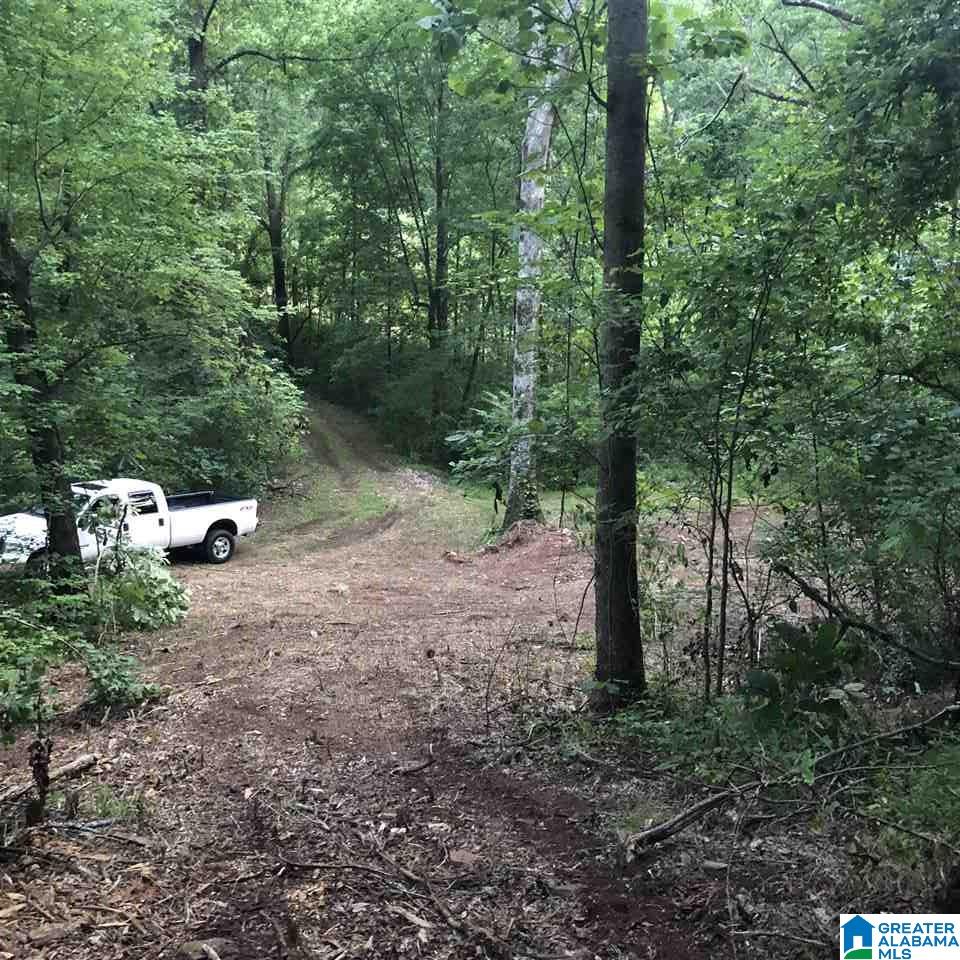 8442 Will Keith Road Trussville, AL 35173 - Photo 17 of 20