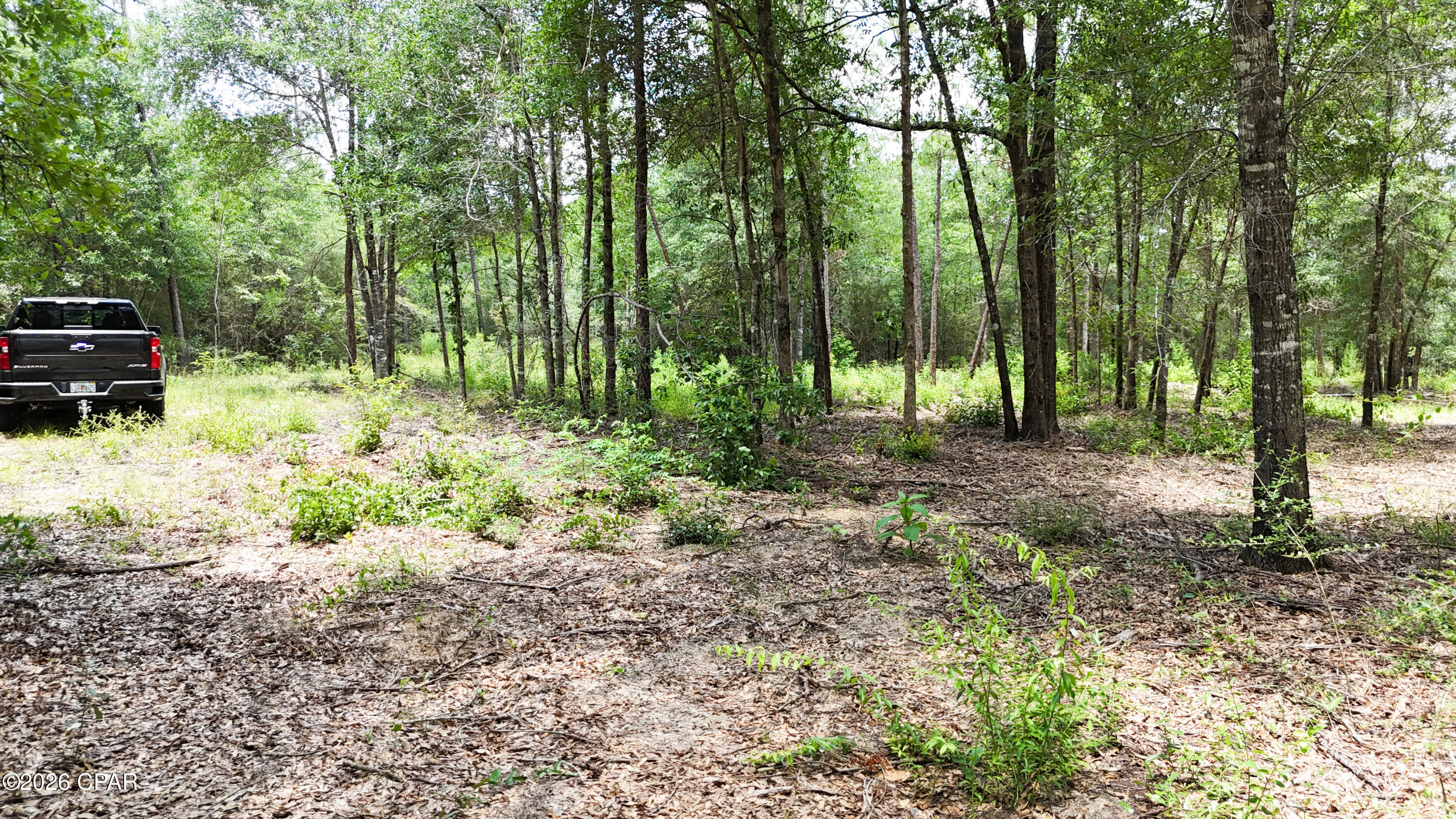 20429 Fettinger Road Fountain, FL 32438 - Photo 15 of 23 Gallery Image 15