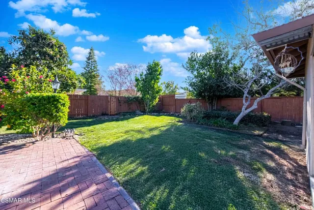 a view of a backyard with potted plants and a large tree