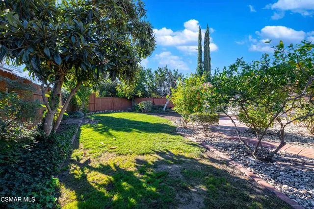 a view of a yard with a house in the background