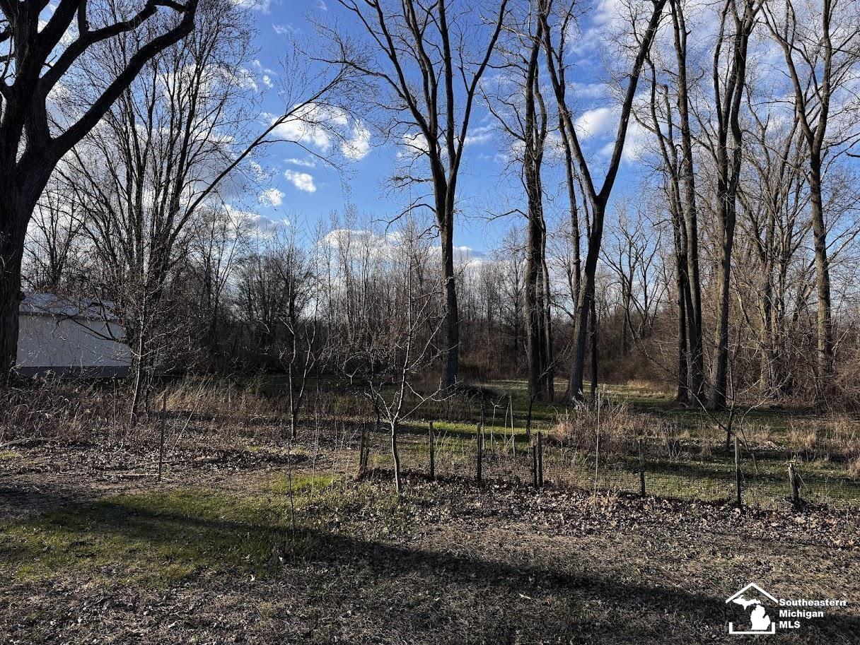 2642 Samaria Road Temperance, MI 48182 - Photo 14 of 16