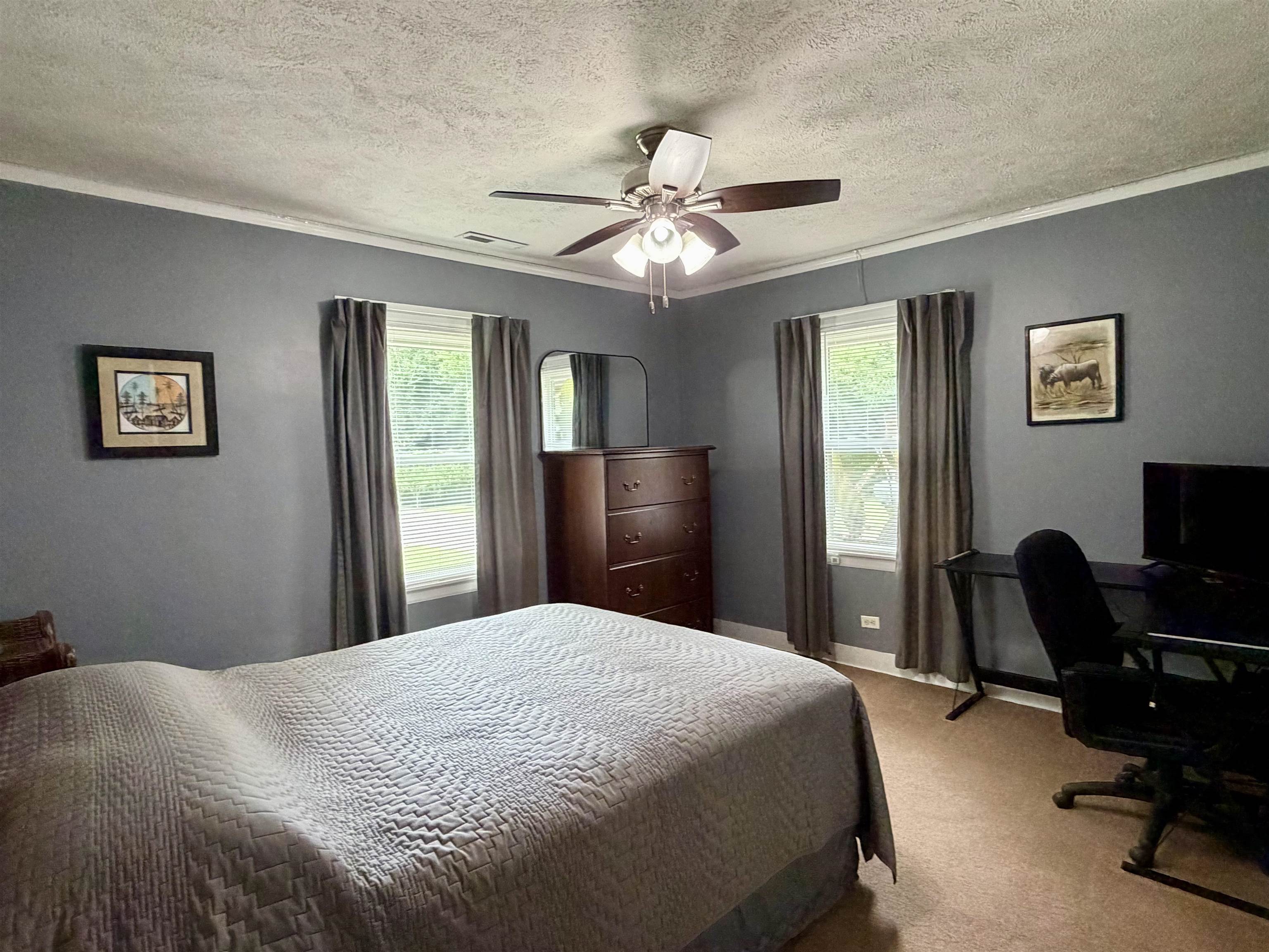 206 Burns Road Ramer, TN 38367 - Photo 17 of 37 Bedroom featuring two windows with blinds, a ceiling fan with integrated lighting, crown molding, and carpeted flooring