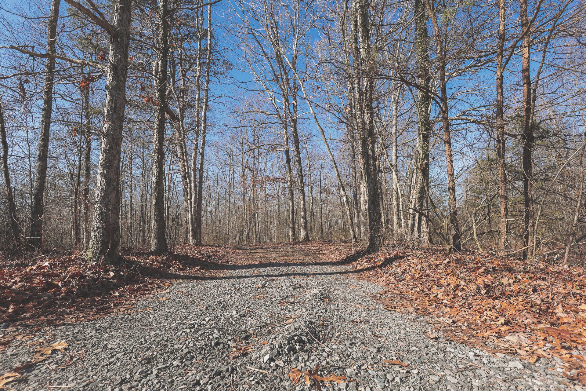 0 Palmer Firetower Road Whitwell, TN 37397 - Photo 3 of 49 Gallery Image 3