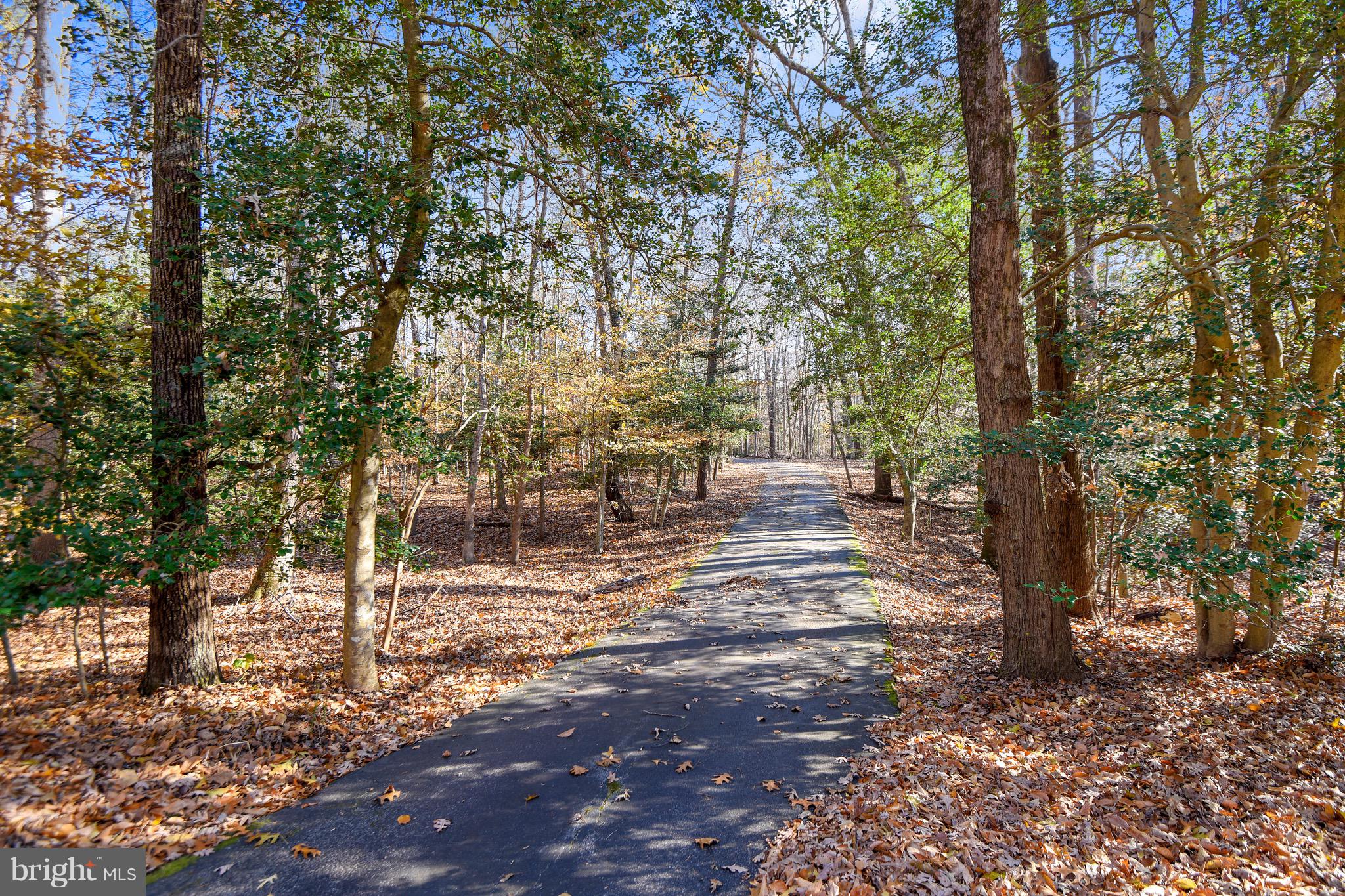 460 Farmington Road West Accokeek, MD 20607 - Photo 4 of 34 a view of outdoor space