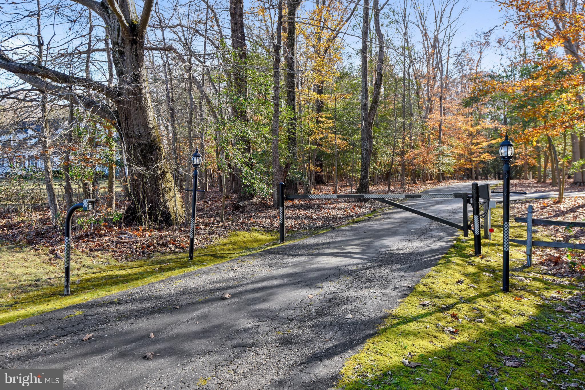 460 Farmington Road West Accokeek, MD 20607 - Photo 5 of 34 a view of a park with of trees