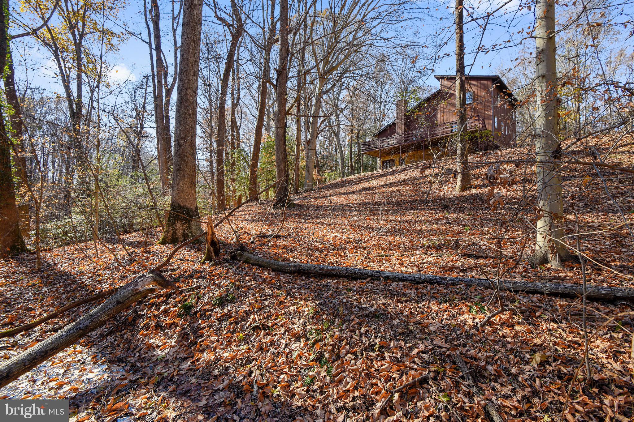 460 Farmington Road West Accokeek, MD 20607 - Photo 6 of 34 a view of a yard with wooden fence