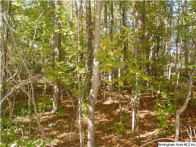 Old Choccolocco Road, Unit 73 Anniston, AL 36207 - Photo 12 of 30
