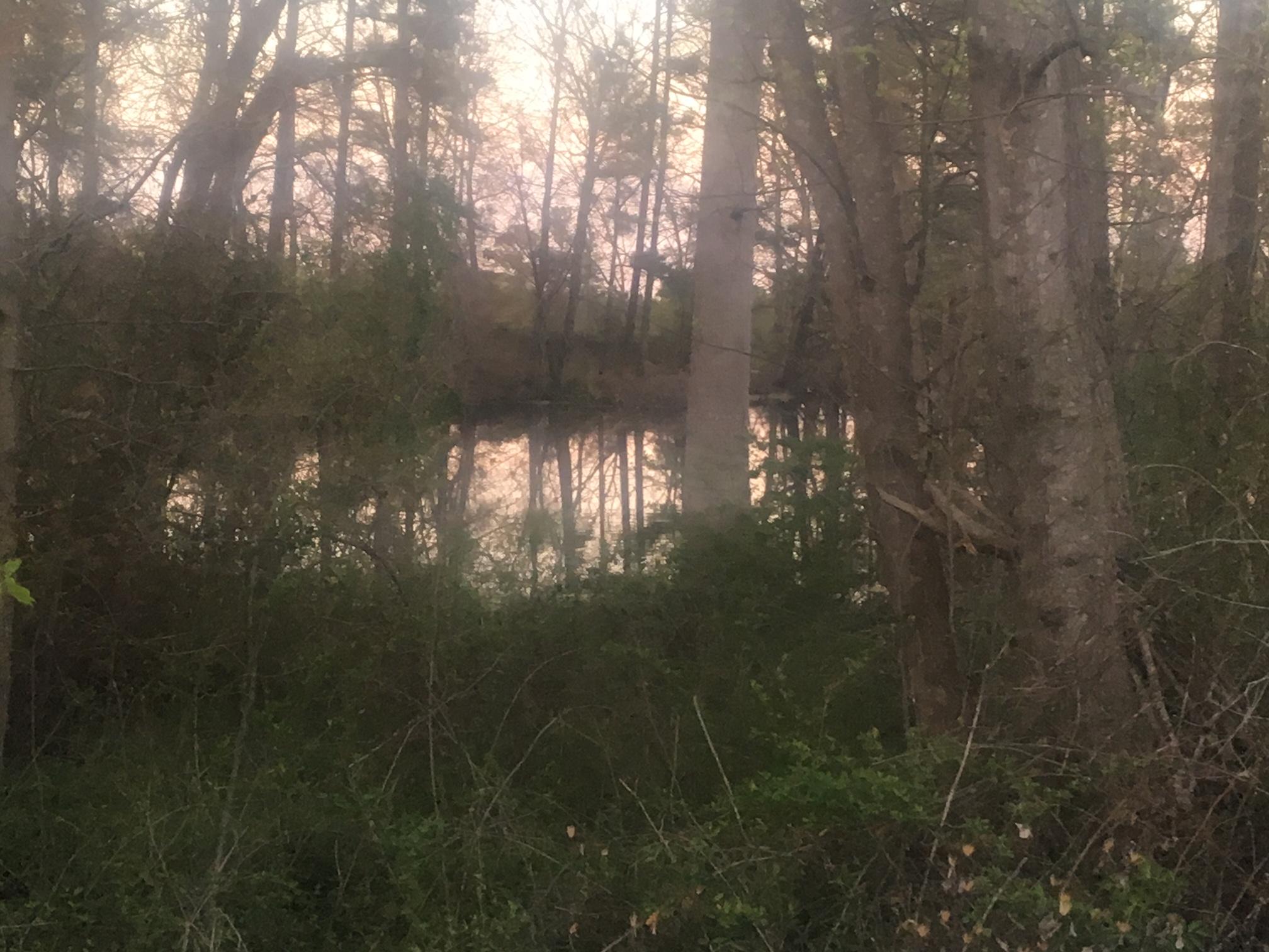 648 Stage Road Carthage, NC 28327 - Photo 2 of 3 Pond 648 Stage Road