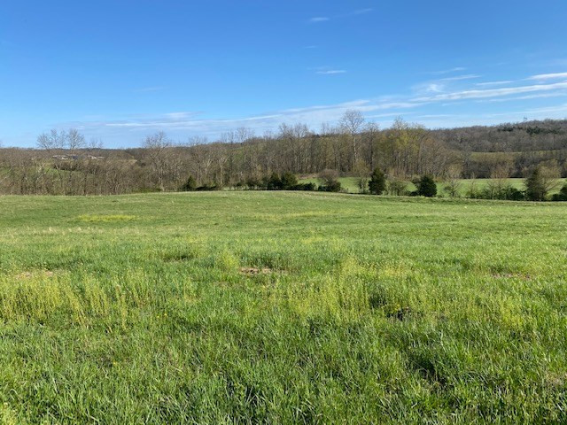 2364 Santa Fe Road Brooksville, KY 41004 - Photo 5 of 21 Gallery Image 5