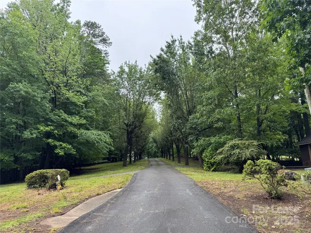 a view of a street with a tree