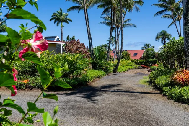 a plant that is in front of a house