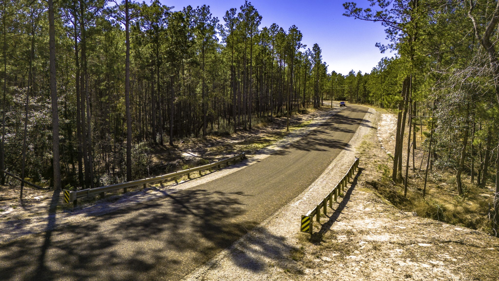 41 Sportsman Retreat Road Onalaska, TX 77360 - Photo 14 of 16 a view of a yard with trees