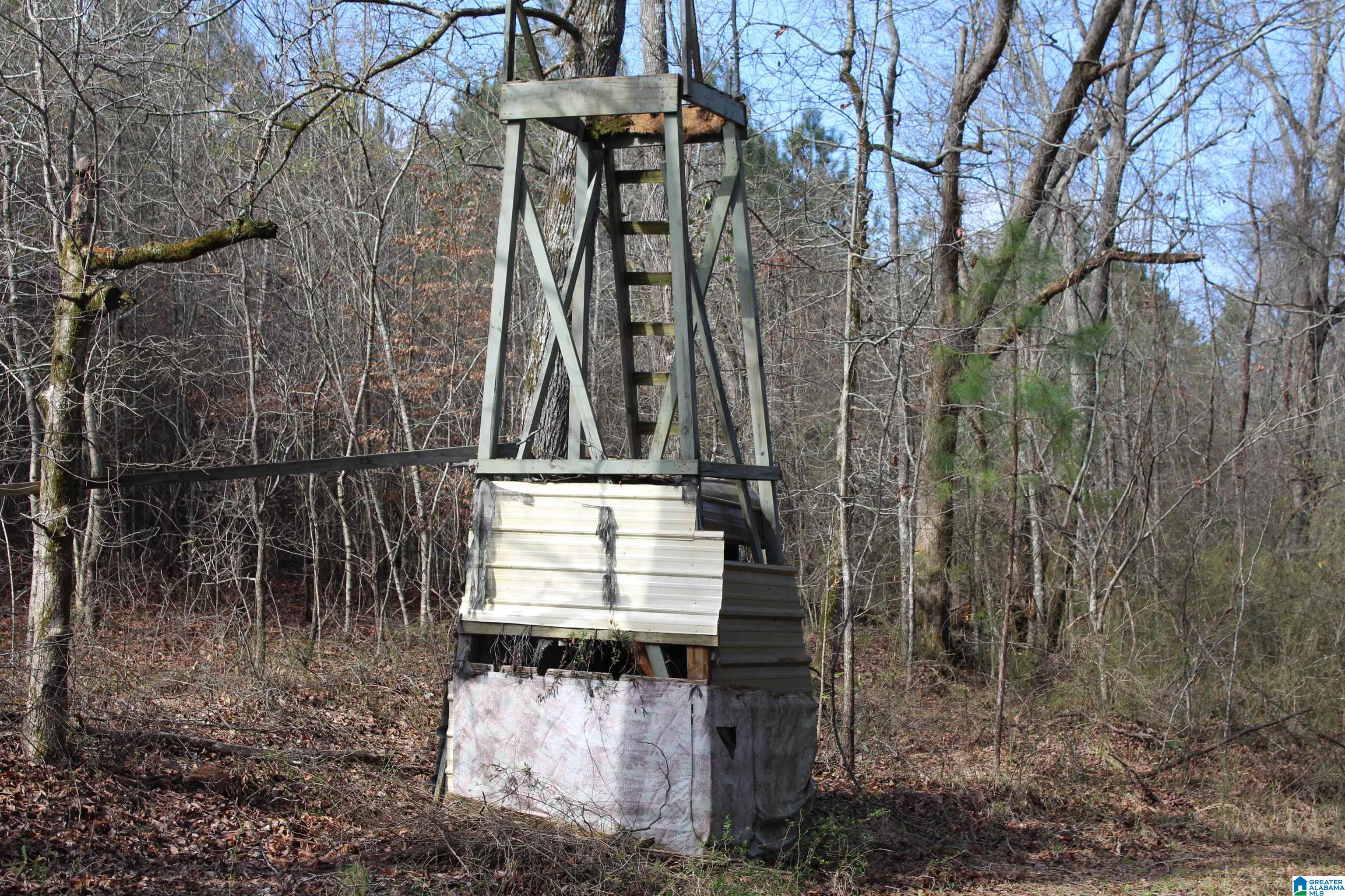 518 County Road, Unit 33 859ACRES Woodland, AL 36280 - Photo 7 of 32