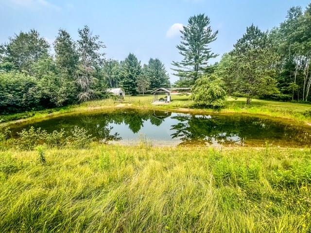 5495 West Clarence Road Harrison, MI 48625 - Photo 25 of 44