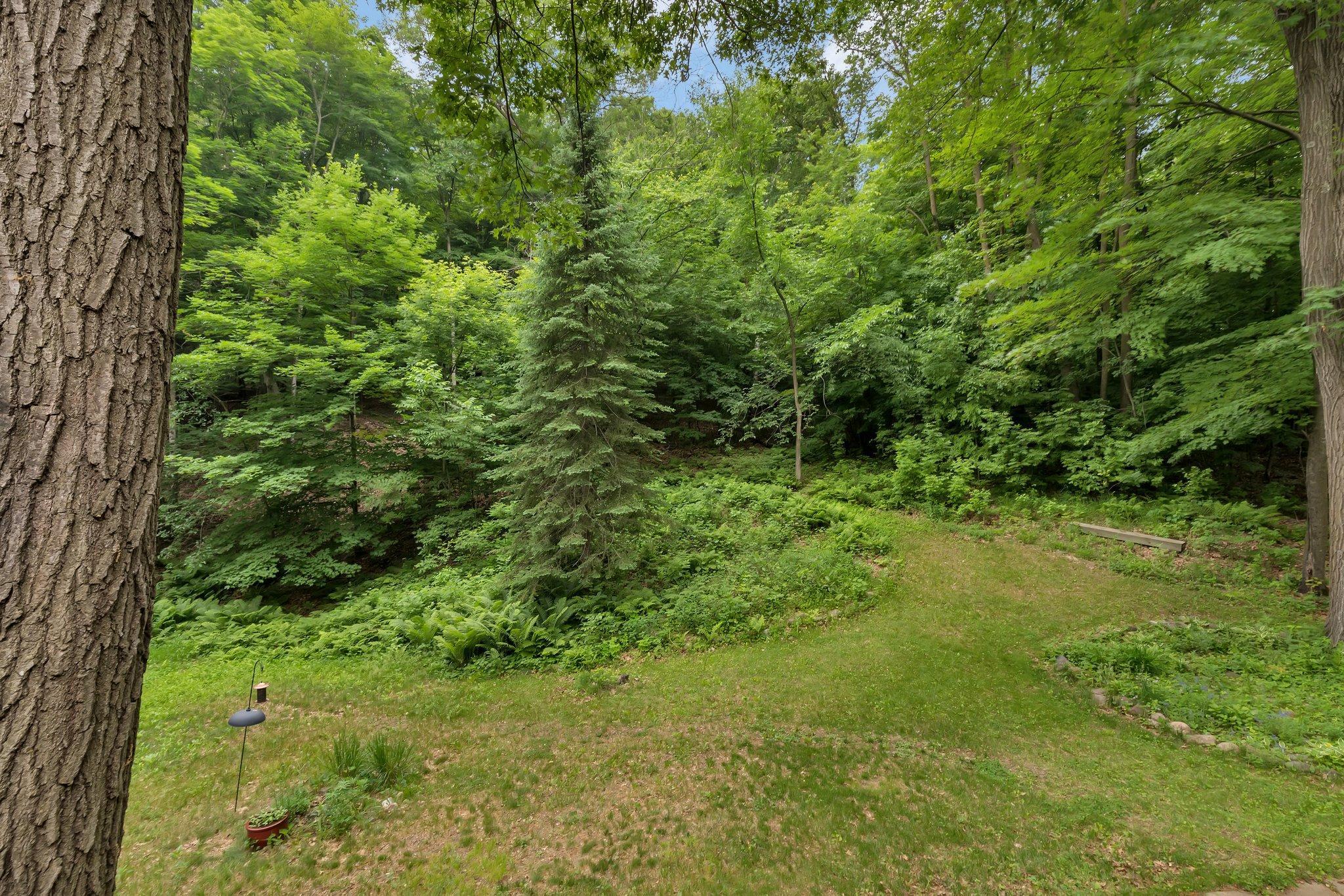 17283 Schuman Lake Road Avon, MN 56310 - Photo 5 of 44 Gallery Image 5