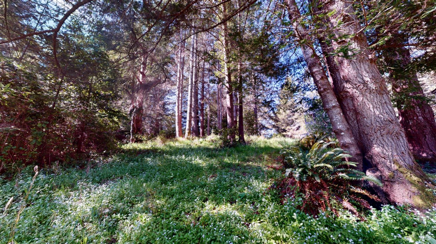 918 River Beach Road The Sea Ranch, CA 95497 - Photo 7 of 30