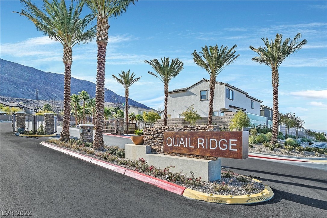 352 Rosefinch Street Henderson, NV 89012 - Photo 29 of 29