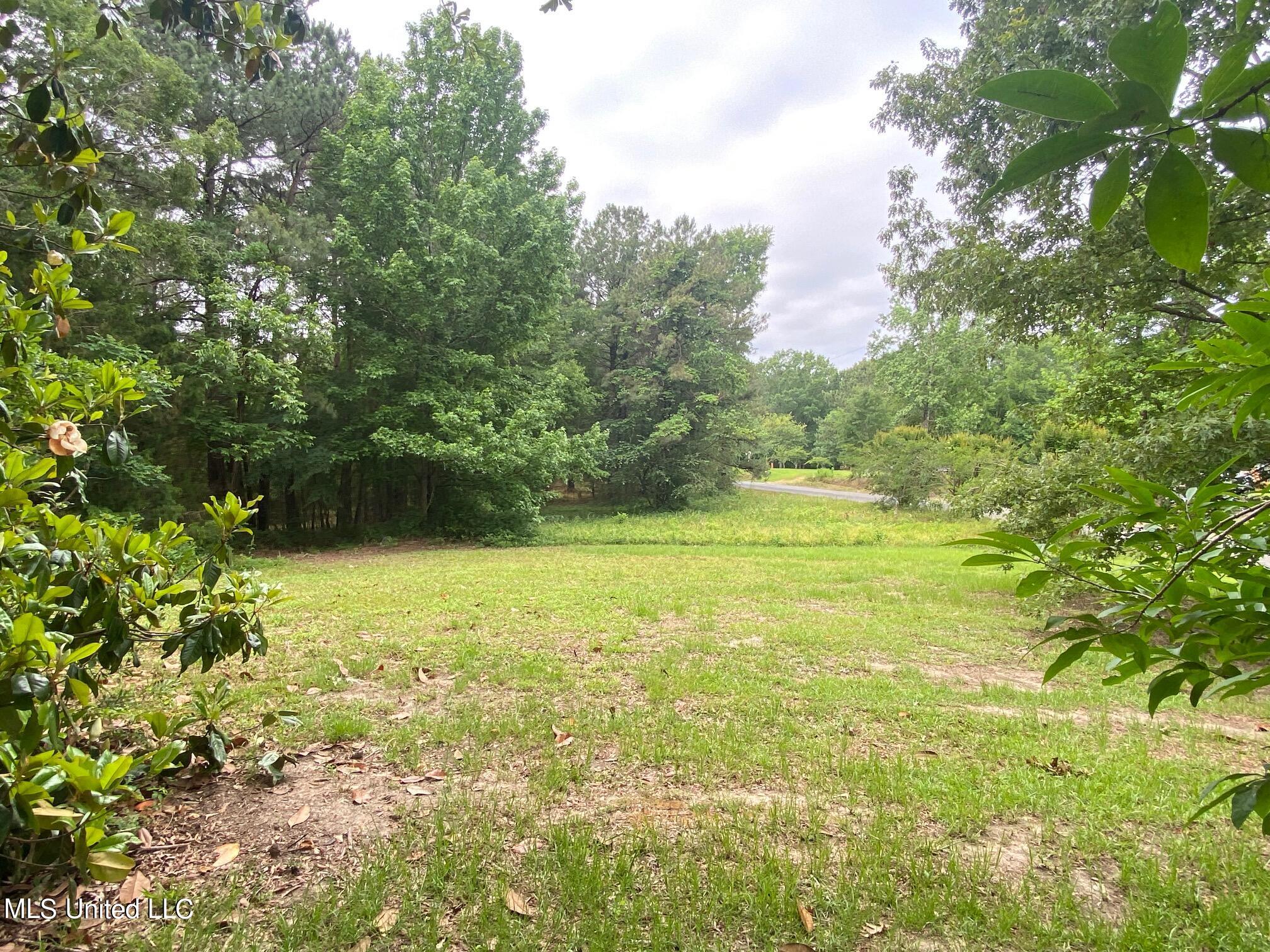 215 Traylor Road Florence, MS 39073 - Photo 5 of 20 IMG_0349