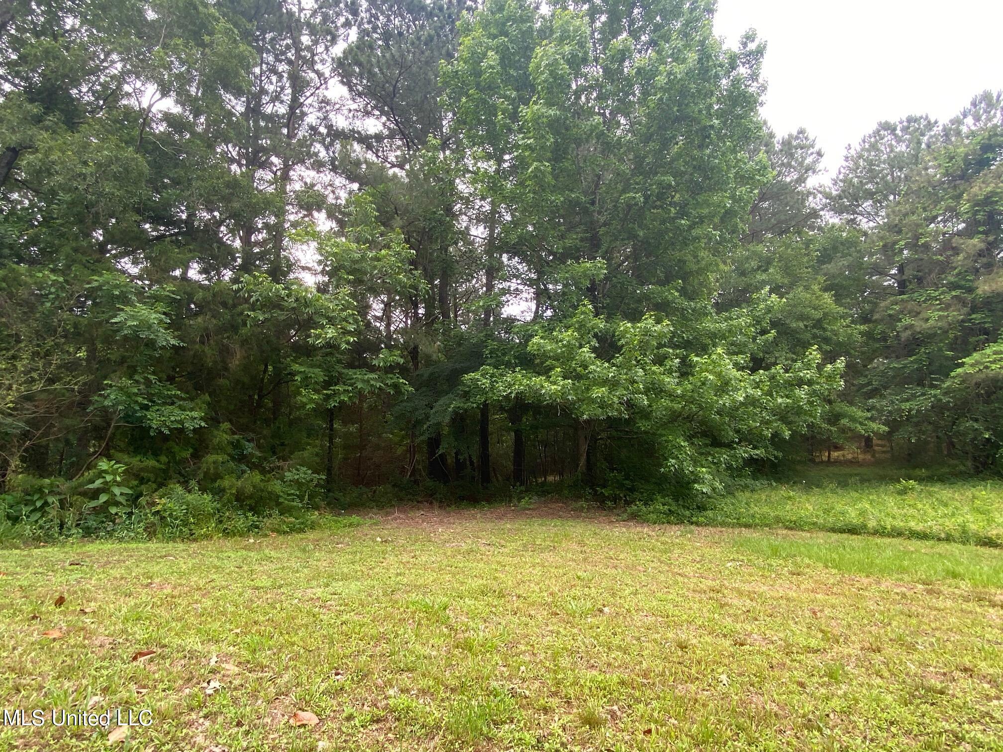 215 Traylor Road Florence, MS 39073 - Photo 6 of 20 IMG_0350