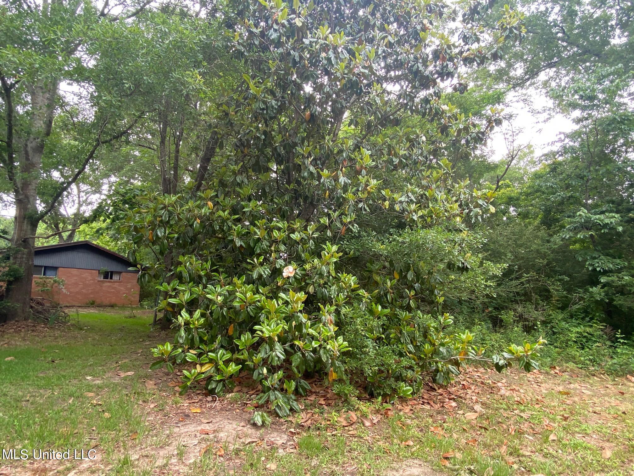 215 Traylor Road Florence, MS 39073 - Photo 7 of 20 IMG_0351