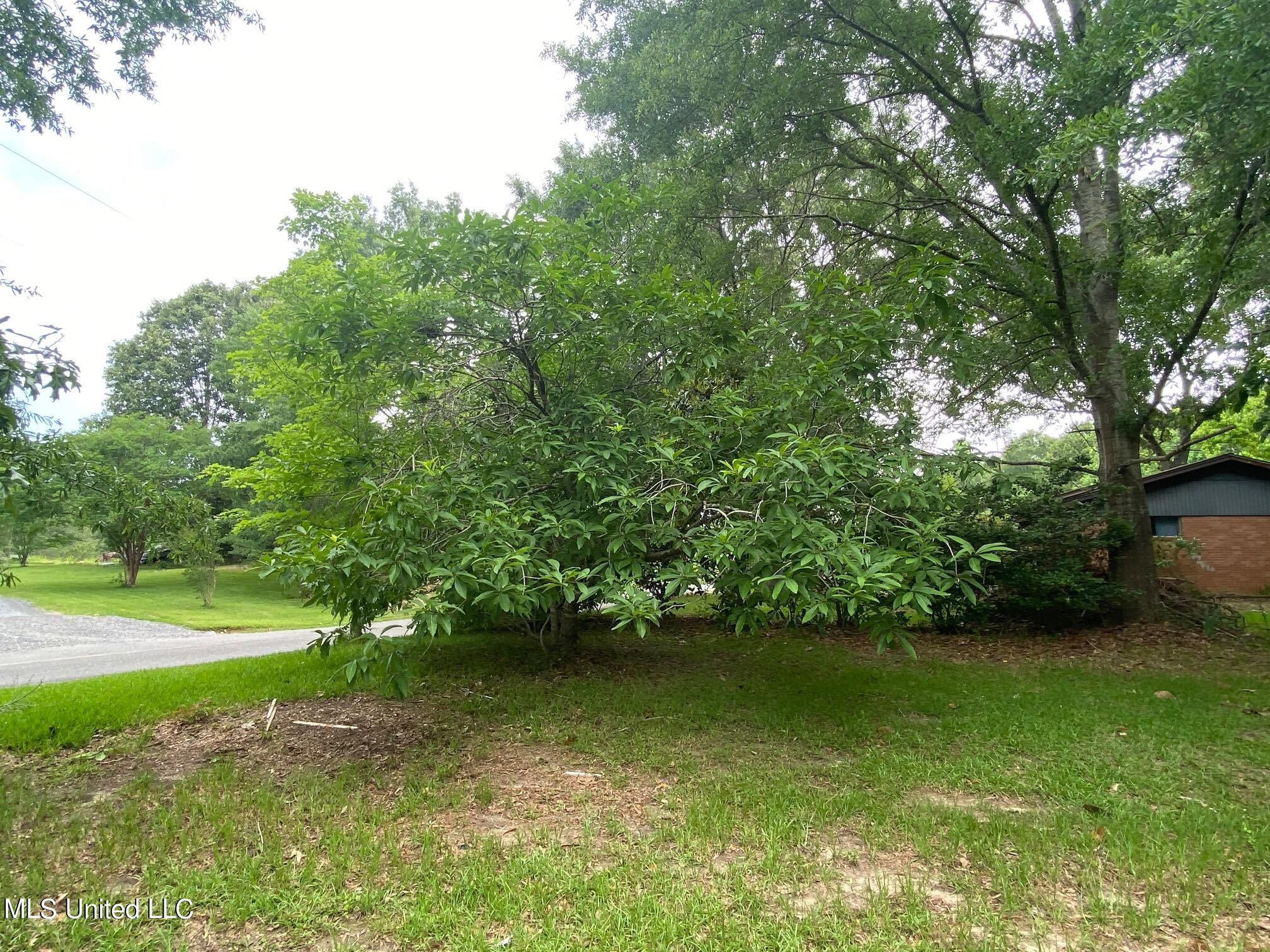 215 Traylor Road Florence, MS 39073 - Photo 8 of 20 IMG_0352