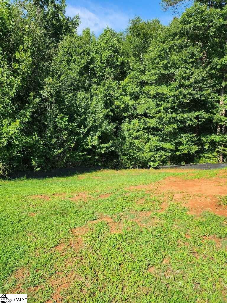 268 Goldenleaf Lane Inman, SC 29349 - Photo 3 of 3