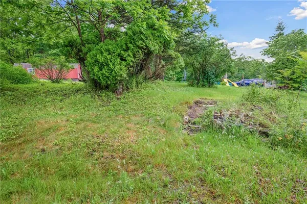 a view of a yard with plants and large trees