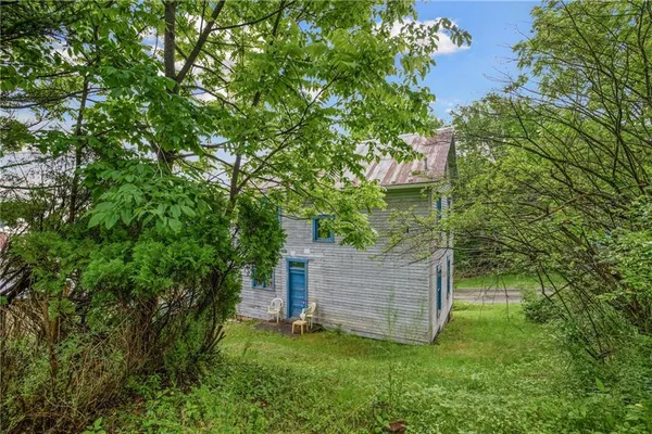 a view of a backyard with potted plants and large tree