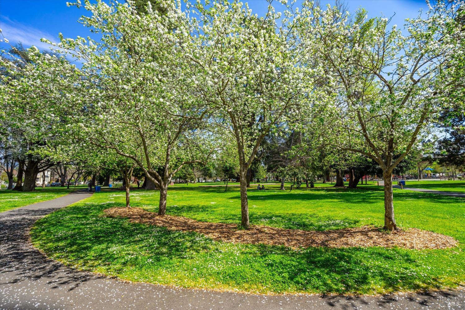 1777 McKinley Road Napa, CA 94558 - Photo 23 of 23 a view of a park with large trees