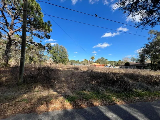 $250,000 | 12441 Southeast 72 Avenue, Belleview, FL 34420