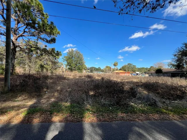 $250,000 | 12441 Southeast 72 Avenue, Belleview, FL 34420