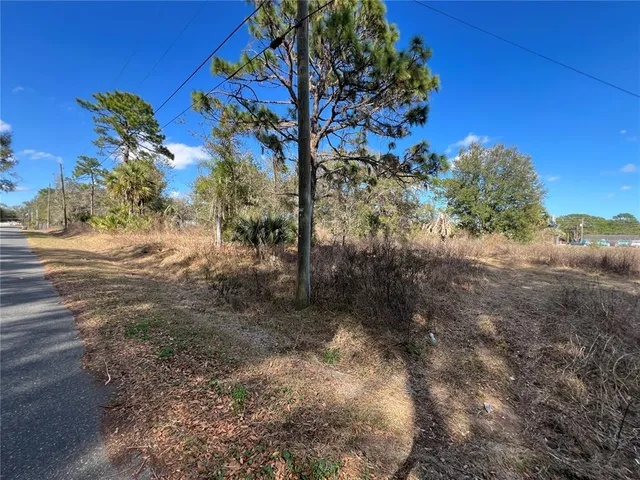 $250,000 | 12441 Southeast 72 Avenue, Belleview, FL 34420