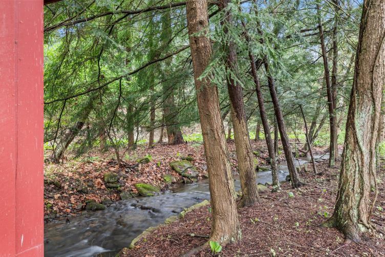 6438 Wampum Mt Air Road Wampum, PA 16157 - Photo 4 of 42 a view of a forest filled with trees