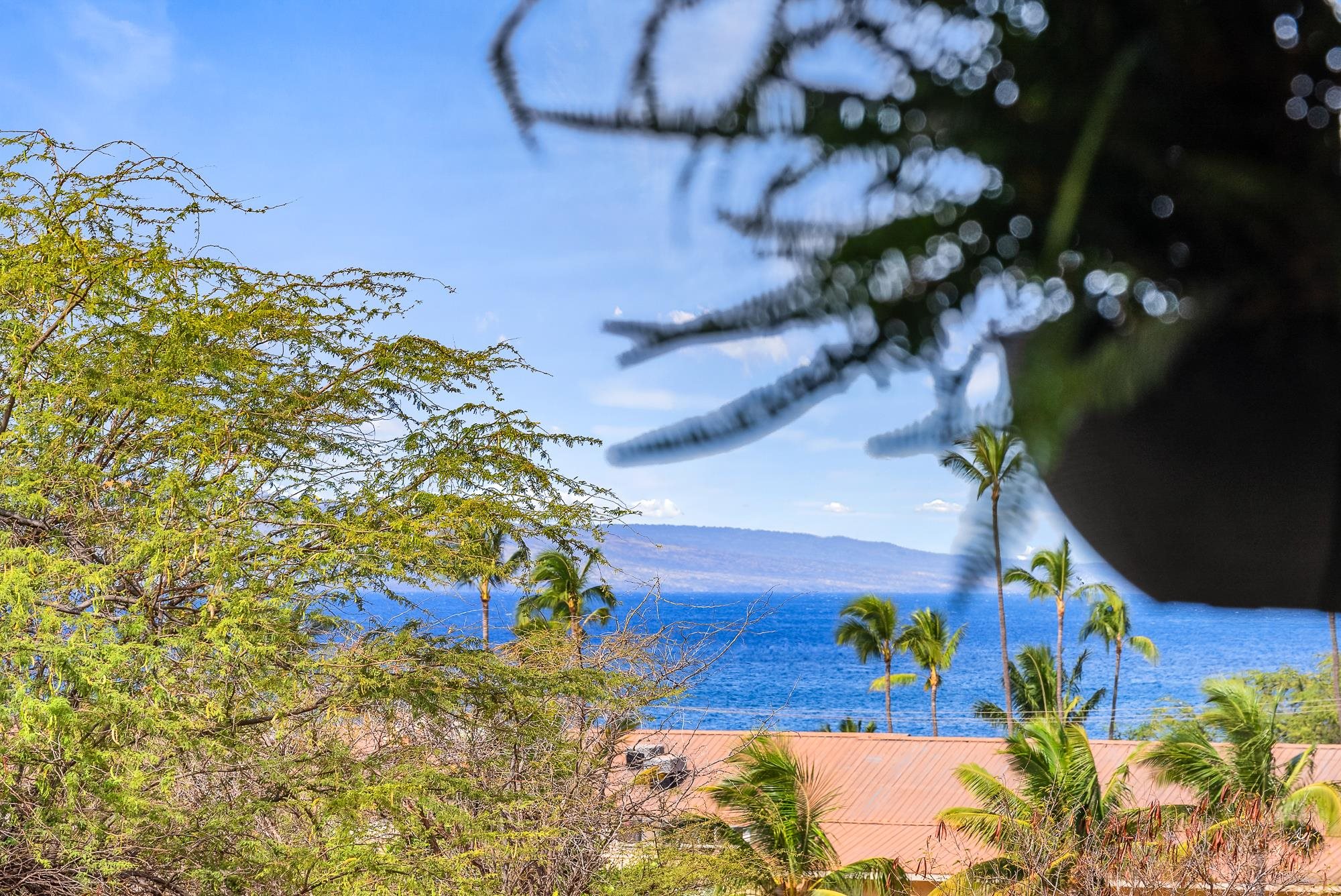 2387 South Kihei Road, Unit D107 Kihei, HI 96753 - Photo 22 of 32