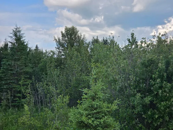 $84,500 | Three 3 Mile Road Northeast, Blackduck, MN 56630