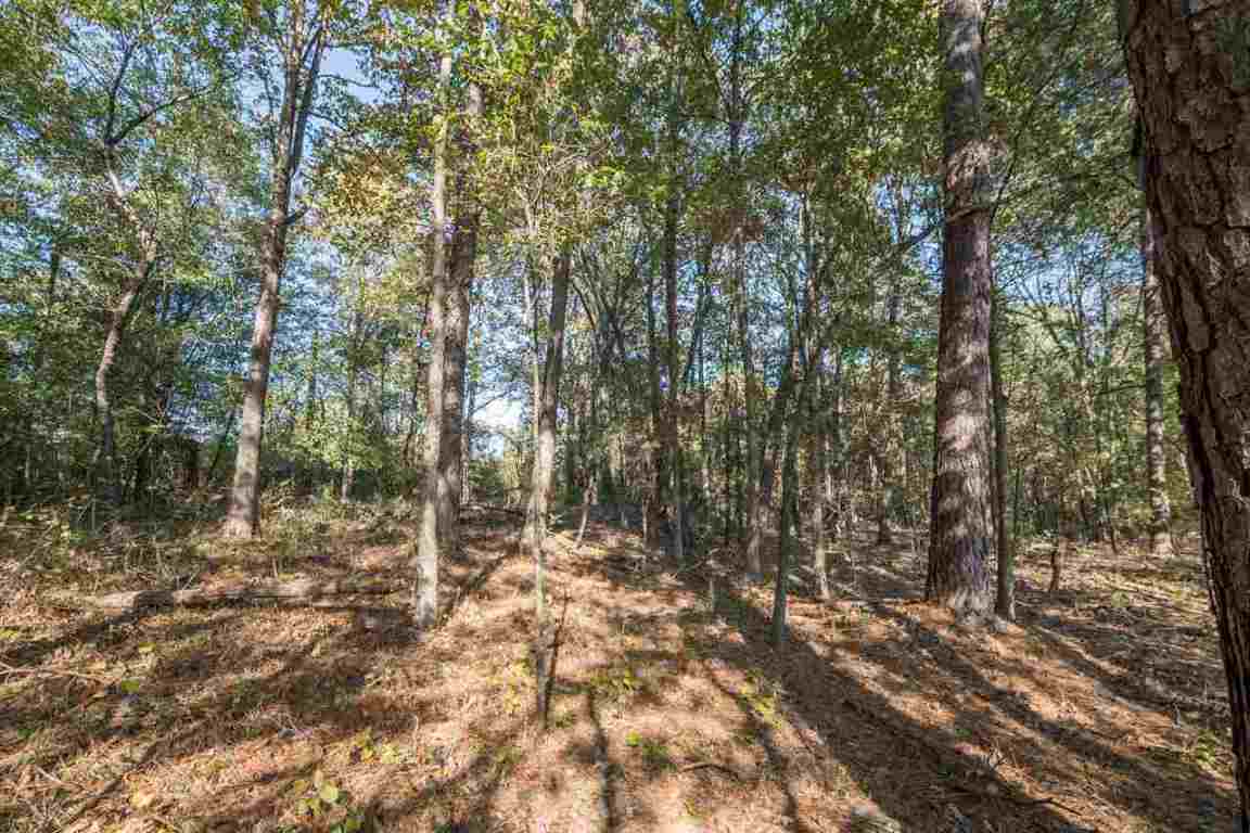 0 St Paul Road, Unit 30 49 ACRES Easley, SC 29642 - Photo 2 of 16